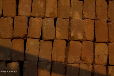 Bricks not yet in the wall bricks