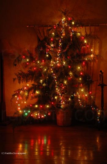 Christmas Tree