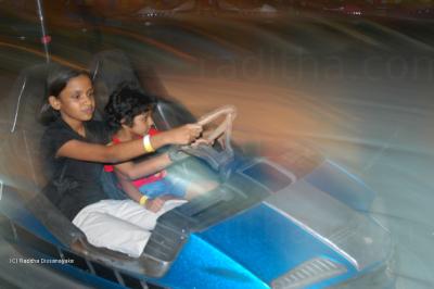 Dodgems Dodgm cars