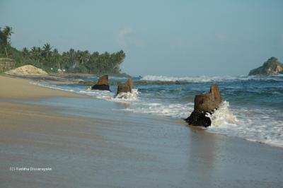 Sea Erosion Sea Erosion