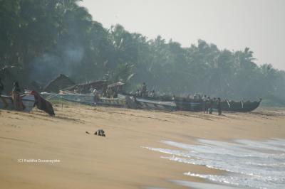 Fishing boats on the beach