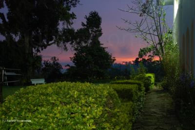 Great Western Tea Estate Bungalow Fron Garden of the Great Western Bungalow