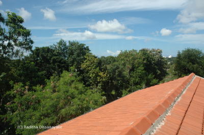 Calicut clay tile roof