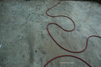 Rubber Snake Rubber Snake