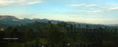 Panorama : Tea Country Tea Country